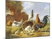 Premium Giclee Print