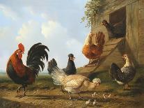 Spring Chickens-Albertus Verhosen-Giclee Print