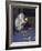 Albino Baby Gorilla Named Snowflake in Apartment of Barcelona Zoo's Veterinarian-Loomis Dean-Framed Photographic Print