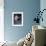 Albino Baby Gorilla Named Snowflake in Apartment of Barcelona Zoo's Veterinarian-Loomis Dean-Framed Photographic Print displayed on a wall
