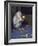 Albino Baby Gorilla Named Snowflake in Apartment of Barcelona Zoo's Veterinarian-Loomis Dean-Framed Photographic Print