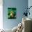 Albino Bull Frog Diving-David Northcott-Photographic Print displayed on a wall