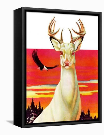 "Albino Deer,"January 8, 1938-Jack Murray-Framed Premier Image Canvas