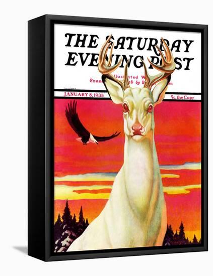 "Albino Deer," Saturday Evening Post Cover, January 8, 1938-Jack Murray-Framed Premier Image Canvas