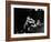 Albino Monkey "Snowflake" Living in Barcelona Zoo Vet's Apartment-Loomis Dean-Framed Photographic Print