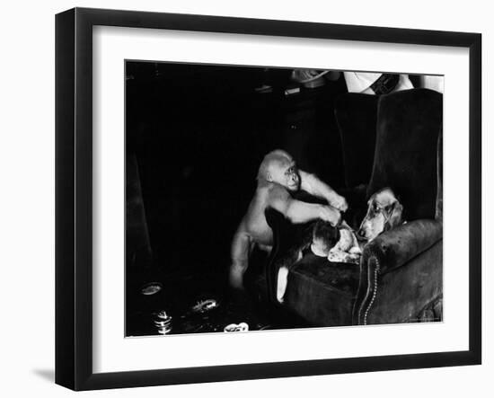 Albino Monkey "Snowflake" Living in Barcelona Zoo Vet's Apartment-Loomis Dean-Framed Photographic Print