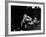 Albino Monkey "Snowflake" Living in Barcelona Zoo Vet's Apartment-Loomis Dean-Framed Photographic Print