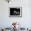 Albino Monkey "Snowflake" Living in Barcelona Zoo Vet's Apartment-Loomis Dean-Framed Photographic Print displayed on a wall