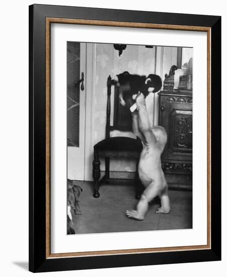 Albino Monkey "Snowflake" Living in Barcelona Zoo Vet's Apartment-Loomis Dean-Framed Photographic Print