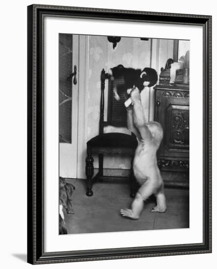 Albino Monkey "Snowflake" Living in Barcelona Zoo Vet's Apartment-Loomis Dean-Framed Photographic Print