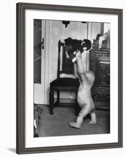 Albino Monkey "Snowflake" Living in Barcelona Zoo Vet's Apartment-Loomis Dean-Framed Photographic Print