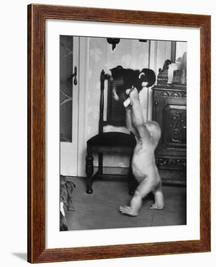 Albino Monkey "Snowflake" Living in Barcelona Zoo Vet's Apartment-Loomis Dean-Framed Photographic Print