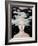 Albino Snow-Leah Saulnier-Framed Giclee Print