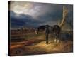 Stretched Canvas Print