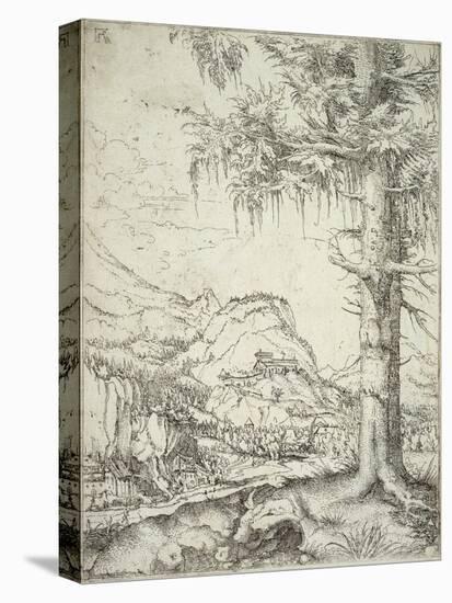 Stretched Canvas Print, , large