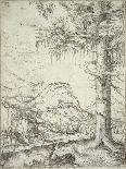The Large Spruce, C.1520-Albrecht Altdorfer-Giclee Print