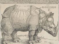 The Rhinoceros, 1515-Albrecht Drer-Framed Giclee Print