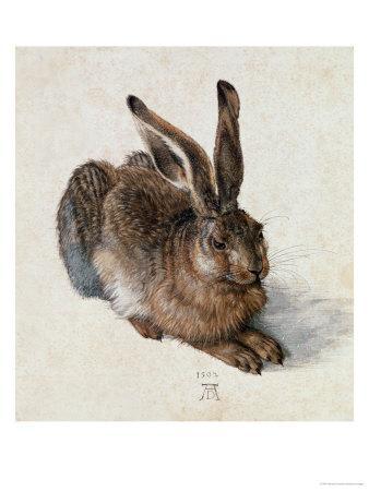 Hare Squirrel by John James Audubon Vintage Illustration Art Poster 24x36