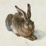 The Virgin with Animals-Albrecht Dürer-Giclee Print