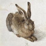Hare-Albrecht Dürer-Art Print