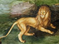 Lion-Albrecht Dürer-Giclee Print