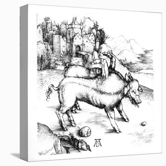 Stretched Canvas Print, , large