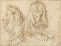 Deux Lions Assis - Dessin De Albrecht Durer (1471-1528), 1521 - Two Seated Lions - Pencil on Paper-Albrecht Dürer or Duerer-Giclee Print