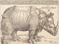 The Rhinoceros, 1515 (Woodcut on Laid Paper)-Albrecht Dürer or Duerer-Giclee Print
