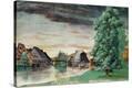 Stretched Canvas Print