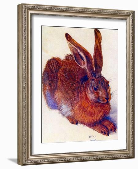 Albrecht Durer Field Hare Plastic Sign-Albrecht Dürer-Framed Art Print