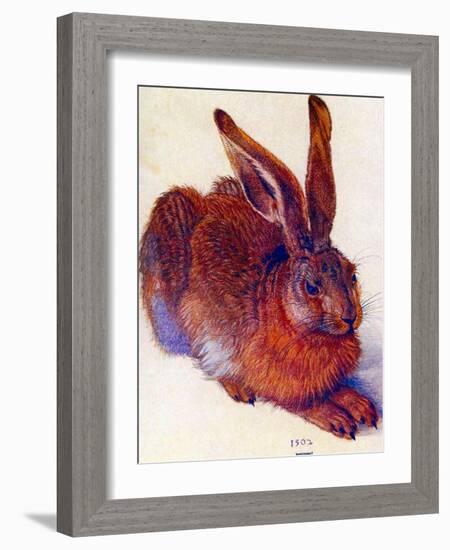 Albrecht Durer Field Hare Plastic Sign-Albrecht Dürer-Framed Art Print