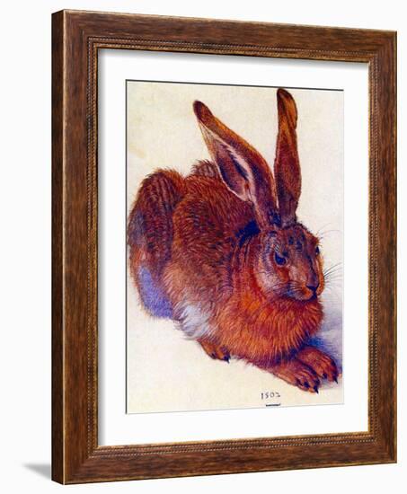 Albrecht Durer Field Hare Plastic Sign-Albrecht Dürer-Framed Art Print