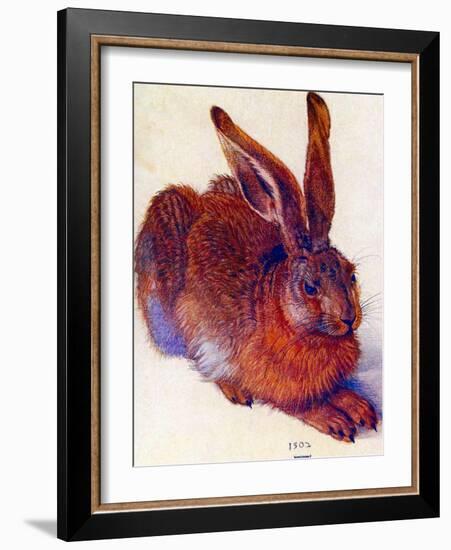 Albrecht Durer Field Hare Plastic Sign-Albrecht Dürer-Framed Art Print