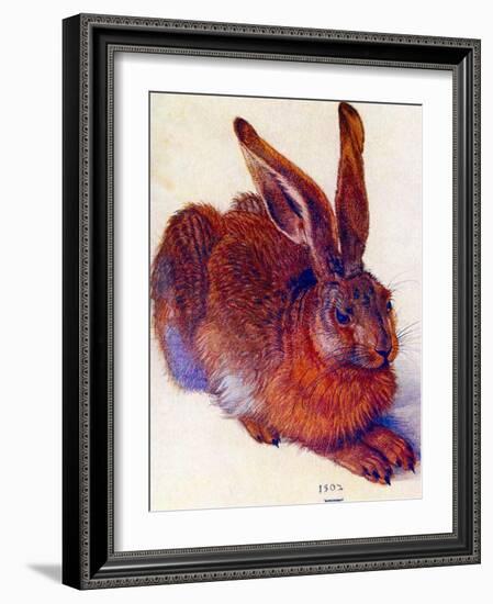 Albrecht Durer Field Hare Plastic Sign-Albrecht Dürer-Framed Art Print