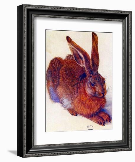 Albrecht Durer Field Hare Plastic Sign-Albrecht Dürer-Framed Premium Giclee Print