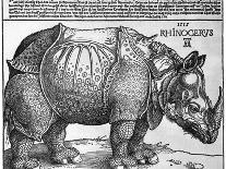 Rhinoceros, Print Given to Maximilian I by the King of Lisbon, 1515-Albrecht Durer-Giclee Print