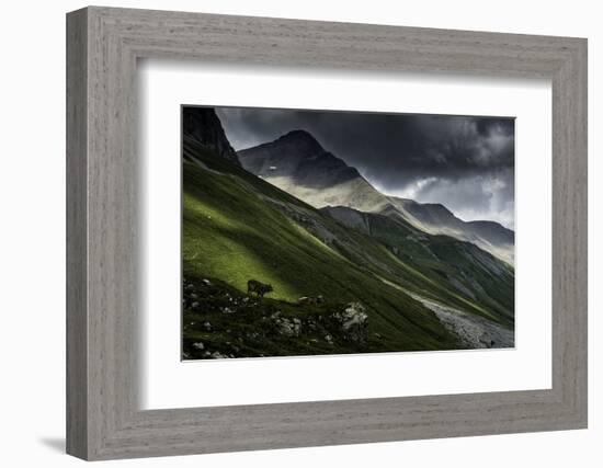 Albula Pass, Switzerland-Vito Guarino-Framed Photographic Print