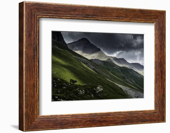 Albula Pass, Switzerland-Vito Guarino-Framed Photographic Print