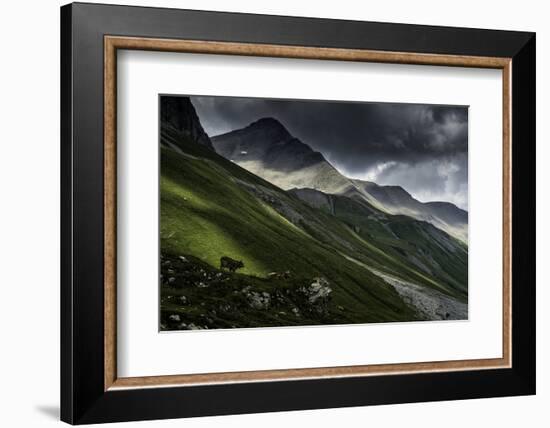 Albula Pass, Switzerland-Vito Guarino-Framed Photographic Print