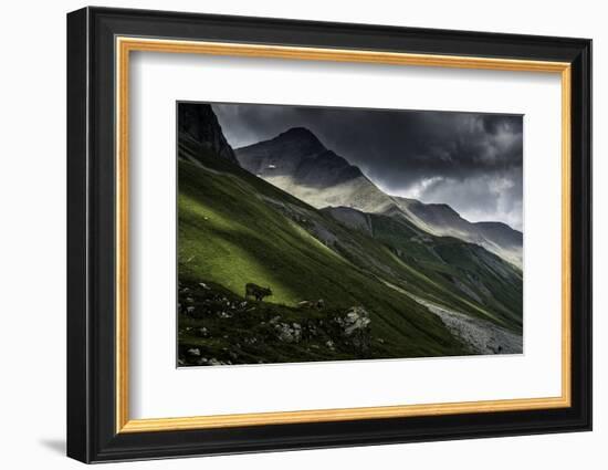 Albula Pass, Switzerland-Vito Guarino-Framed Photographic Print