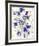 Album 19 Original Lithographs Page 6-Joan Miro-Framed Premium Edition