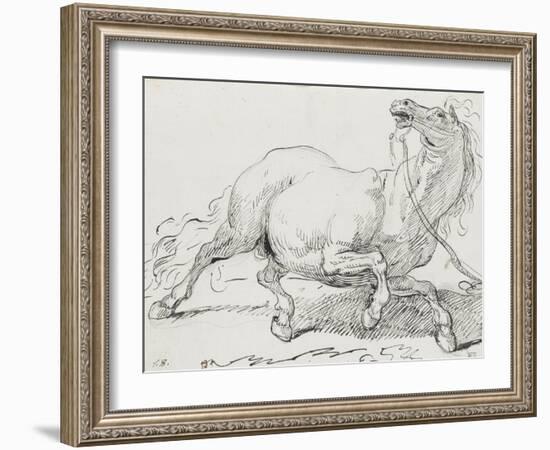 Album : cheval hennissant ; cheval cabré ; cheval allongé ; crâne de cheval-Jacques-Louis David-Framed Giclee Print