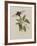 Album Donovan : an epitome of the natural history of insects in China-Edward Donovan-Framed Giclee Print