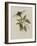 Album Donovan : an epitome of the natural history of insects in China-Edward Donovan-Framed Giclee Print