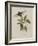 Album Donovan : an epitome of the natural history of insects in China-Edward Donovan-Framed Giclee Print