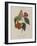 Album Donovan : an epitome of the natural history of insects in China-Edward Donovan-Framed Giclee Print