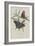 Album Donovan : an epitome of the natural history of insects in China-Edward Donovan-Framed Giclee Print