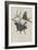 Album Donovan : an epitome of the natural history of insects in China-Edward Donovan-Framed Giclee Print