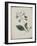 Album Donovan : an epitome of the natural history of insects in China-Edward Donovan-Framed Giclee Print