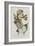 Album Donovan : an epitome of the natural history of insects in China-Edward Donovan-Framed Giclee Print